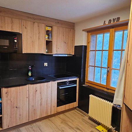 Le Panorama - Appartement 54 A Arolla Face Aux Montagnes A 150M Des Pistes Evolène Kültér fotó
