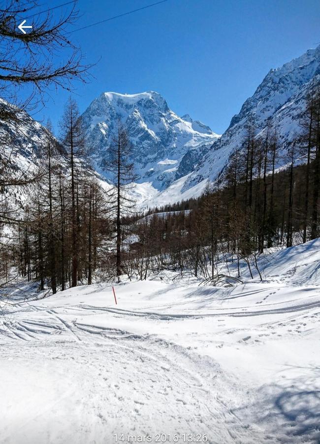 Le Panorama - Appartement 54 A Arolla Face Aux Montagnes A 150M Des Pistes Evolène Kültér fotó