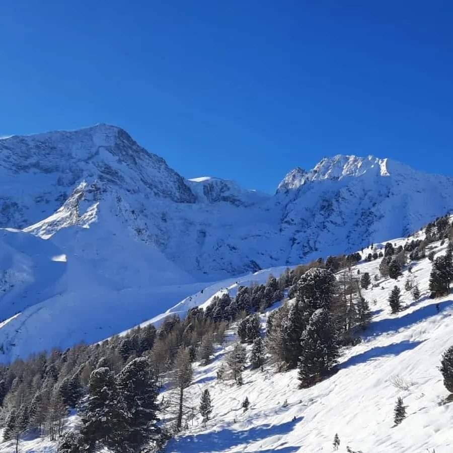 Le Panorama - Appartement 54 A Arolla Face Aux Montagnes A 150M Des Pistes Evolène Kültér fotó